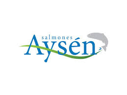 salmones aysen